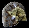 Calcite Crystal Filled Septarian Geode - Utah #37231-2